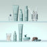 Aveda Scalp Solutions Replenishing Conditioner - GLAM MODA